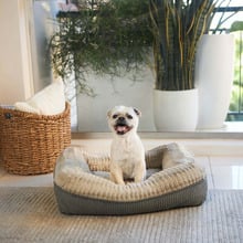 Honey Possum Pet Bed